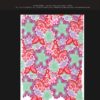 60564 – Image 2