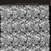 60156-NT-140 – Image 3